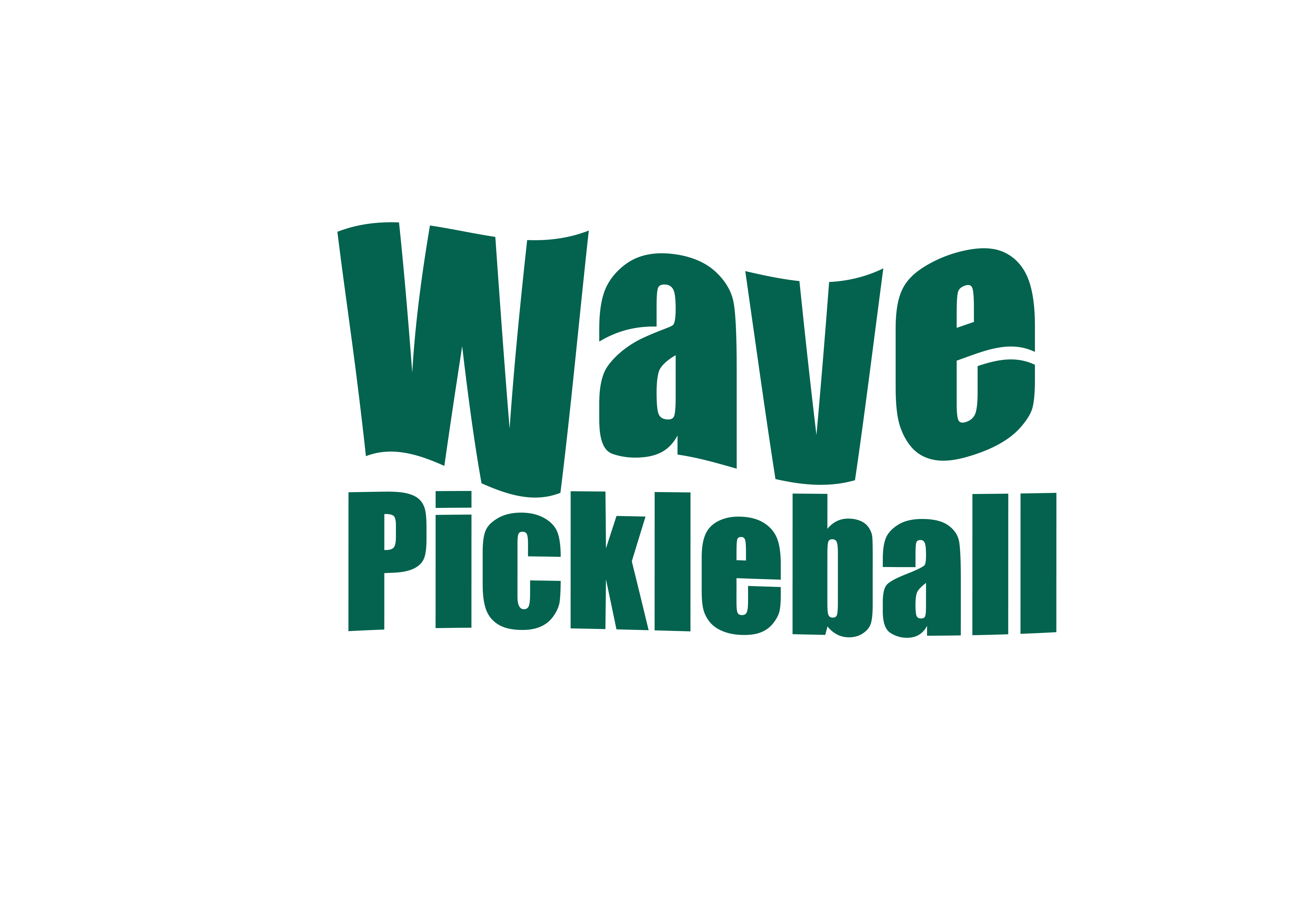 Wave Pickleball